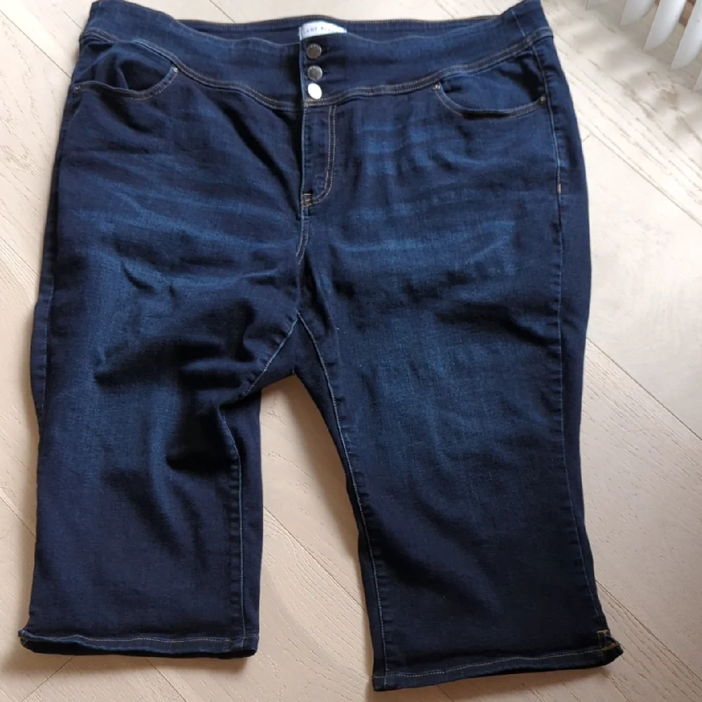 Lane Bryant Blue Jeggings Classic Denim Style